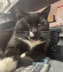 WBS - Staff Photo Batman