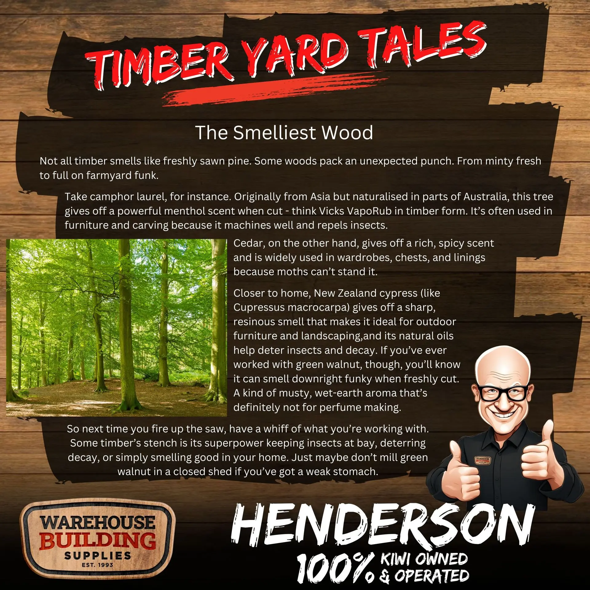 20250721-timber-yard-tales