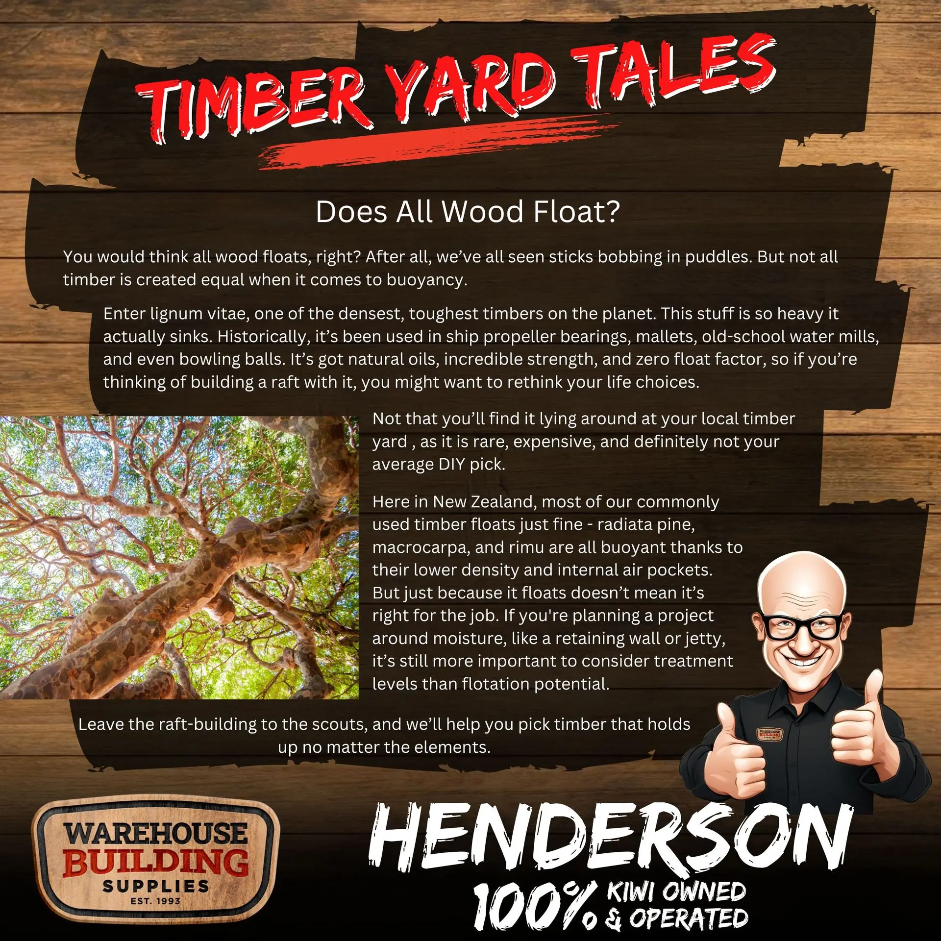 20250728-timber-yard-tales