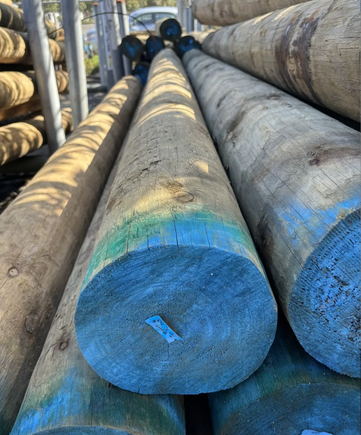 wbs-henderson-h5-treated-sed-poles