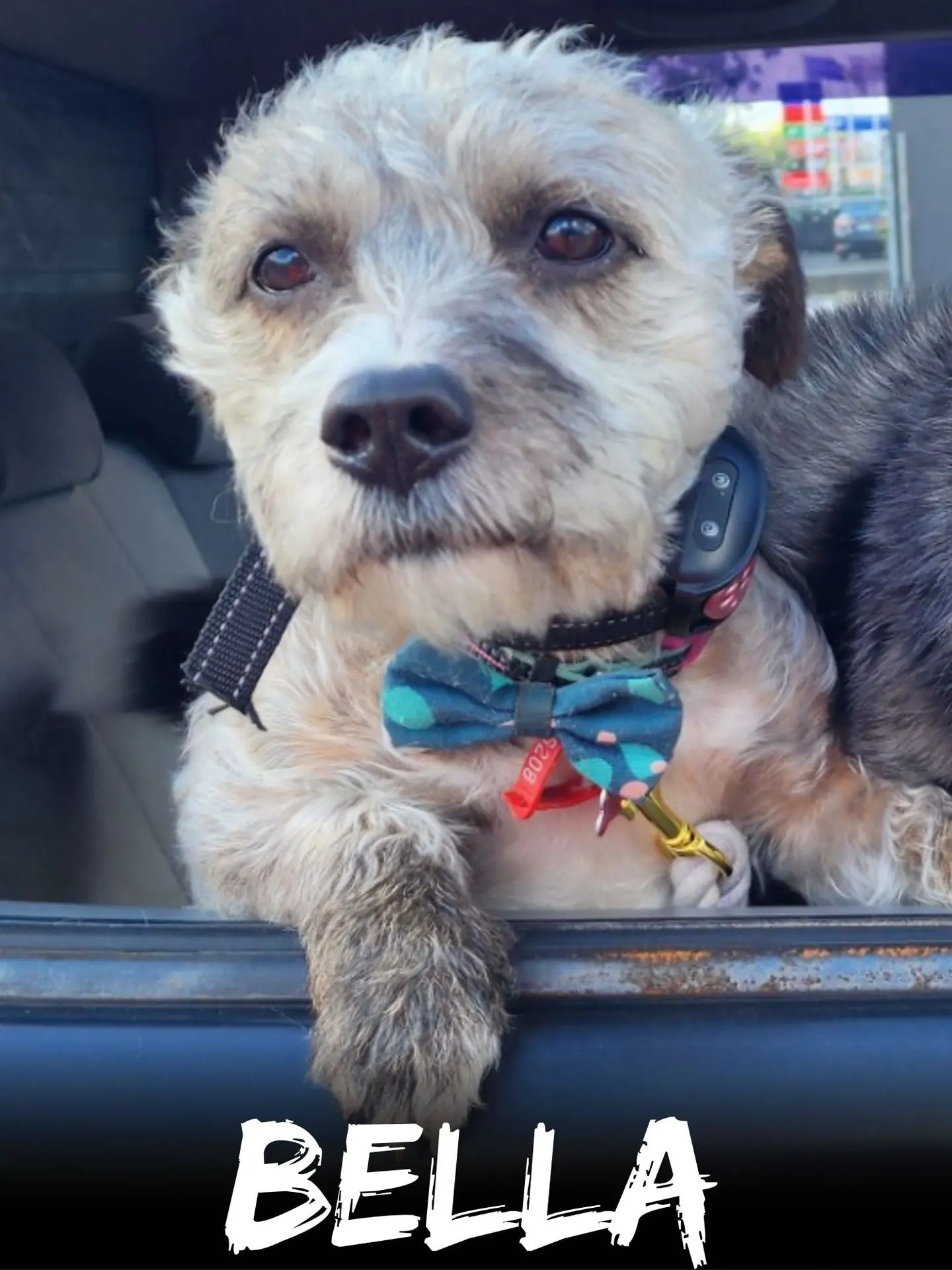 wbs-henderson-20251016-BELLA-web