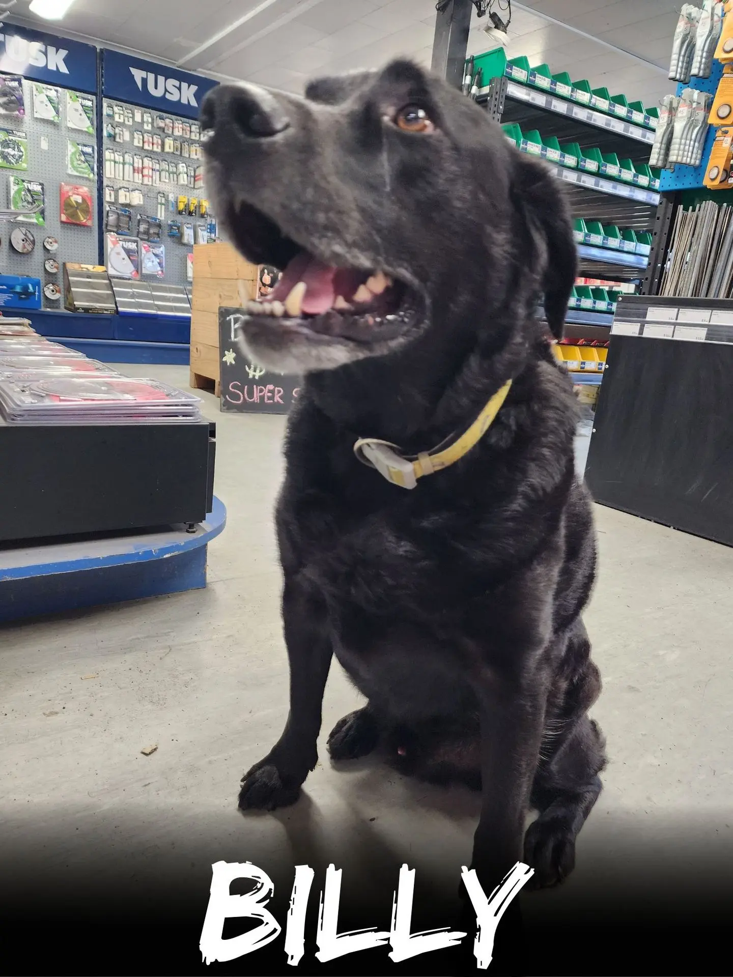 wbs-henderson-20251023-BILLY-web