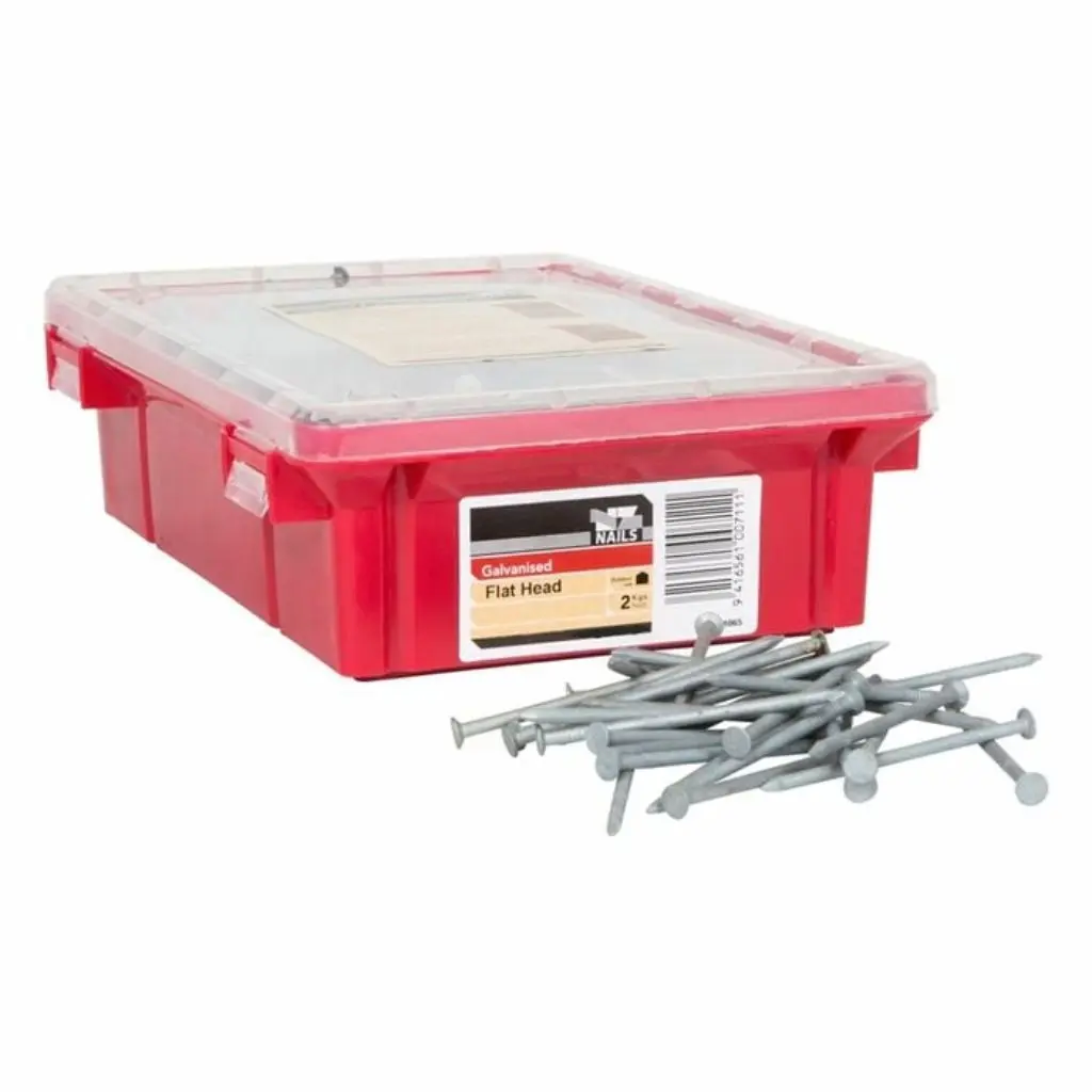 NZ NAILS Flat Head Galvanised 50 x 2.00mm - 2kg