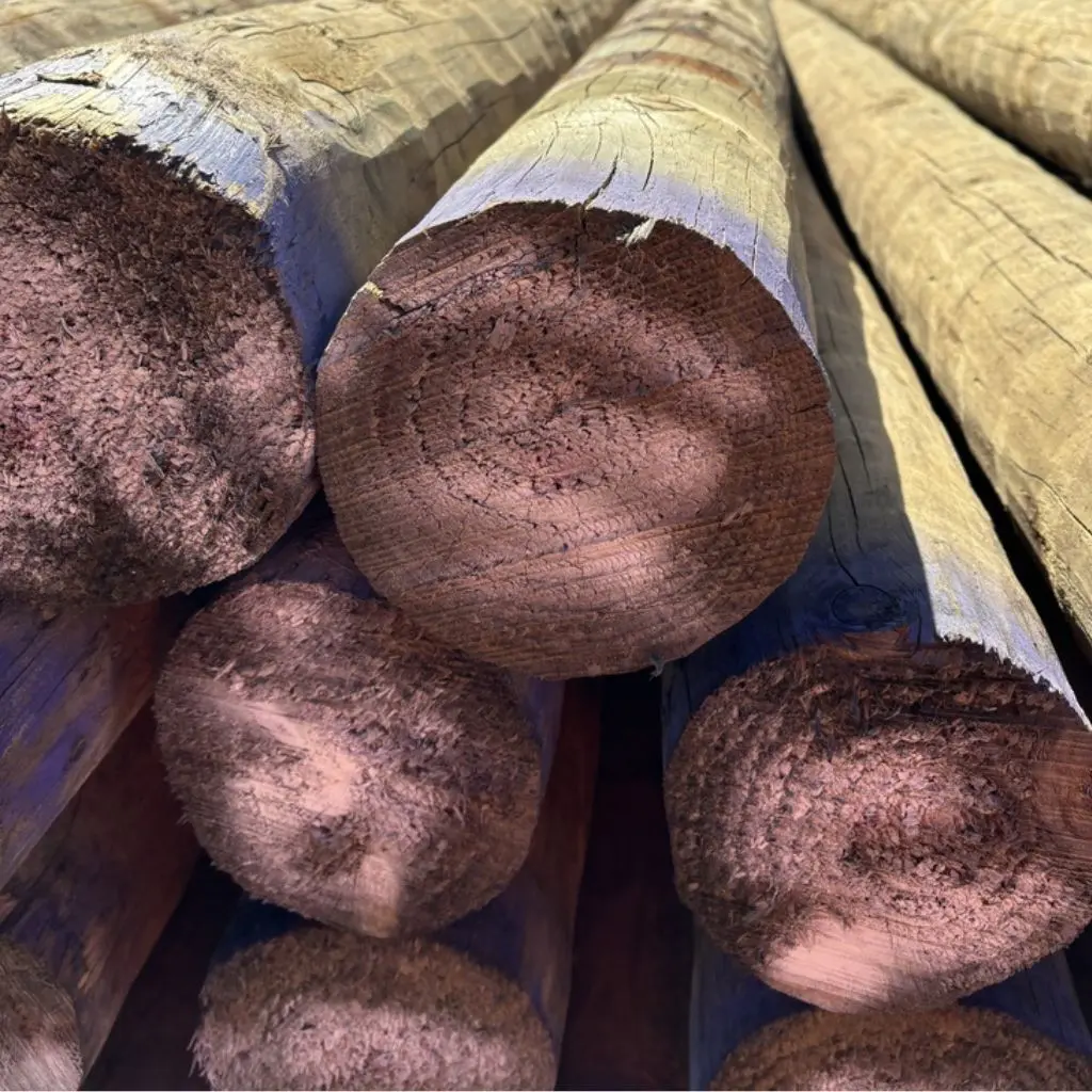 SED H5 Construction and Retaining Wall Poles | 150-174mm x 1.8m