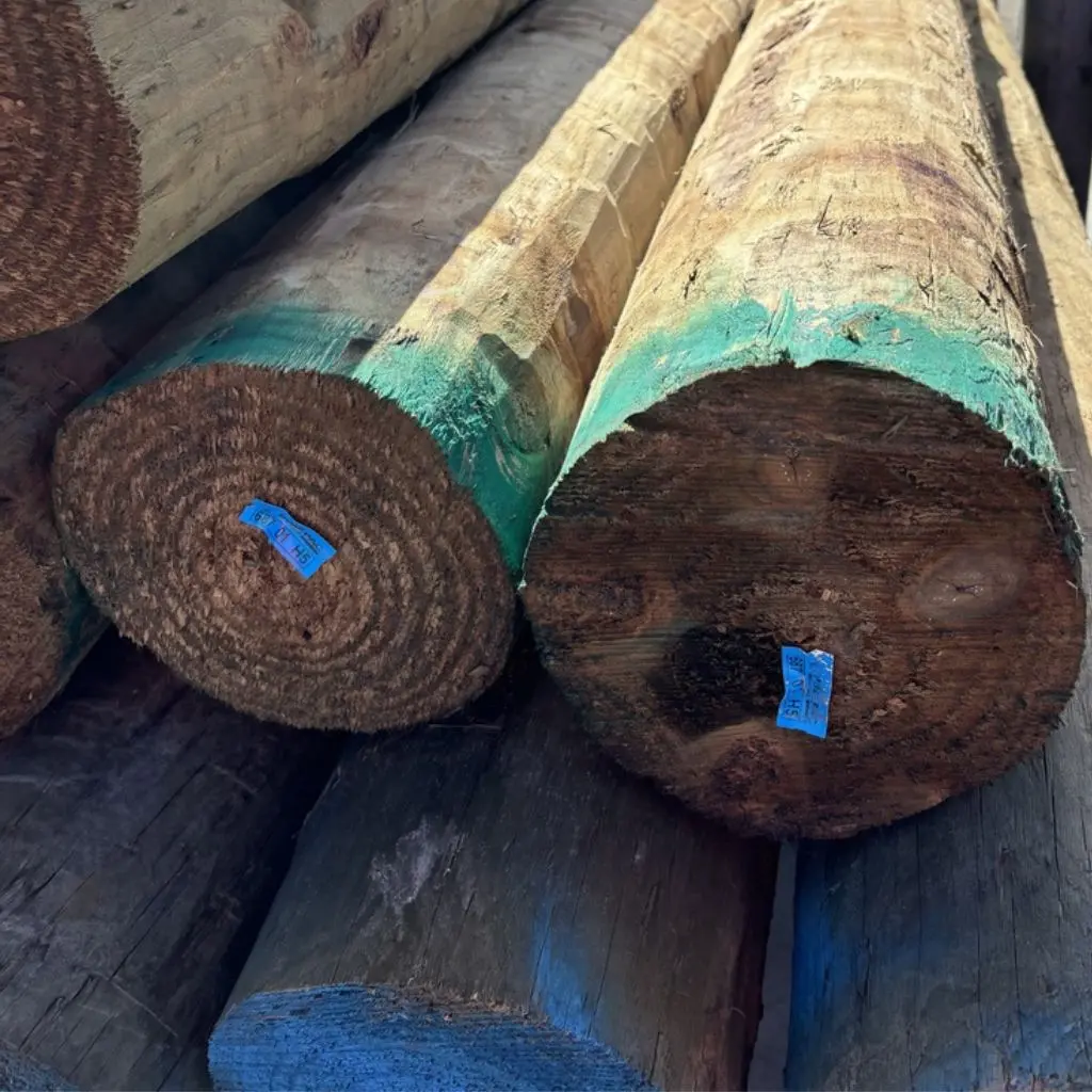 SED H5 Construction and Retaining Wall Poles | 200-224mm x 1.8m