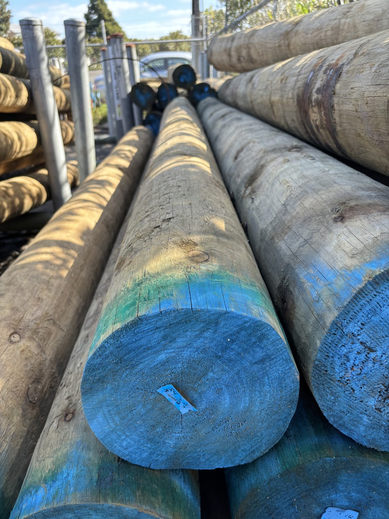 POLE BUILDING H5 SED 225-249 x 6.0MTRS