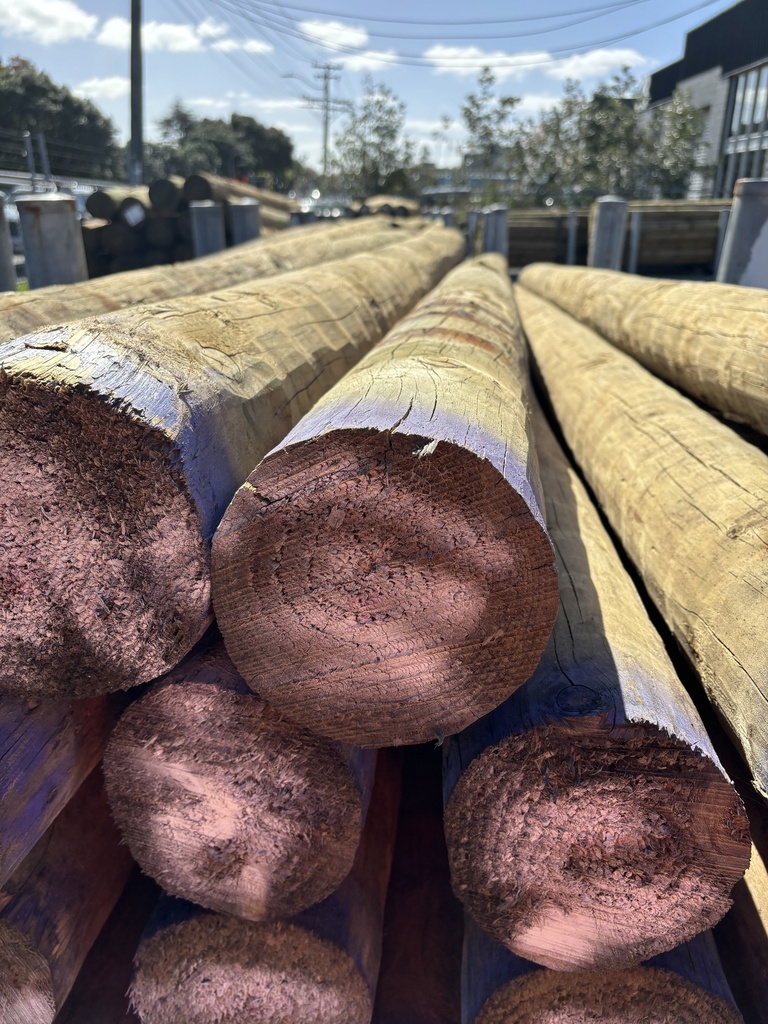 POLE BUILDING H5 SED 150-174 x 4.8M HIGH DENSITY