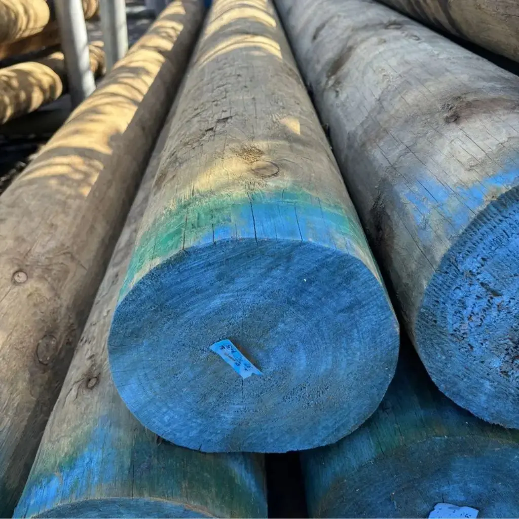 POLE BUILDING H5 SED 375-399 x 9.0M