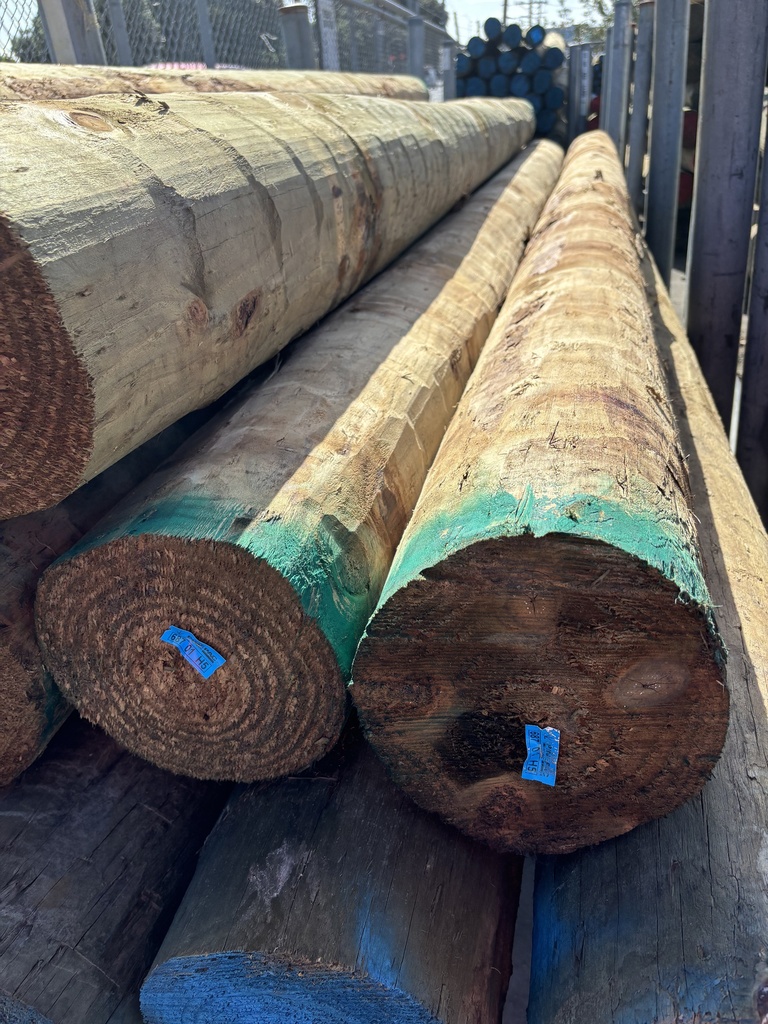 POLE BUILDING H5 SED 200-224 x 8.0M HIGH DENSITY