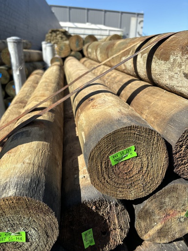 [SED11518] POLE R1 ROUND H4 SED 115-139 x 1800mm