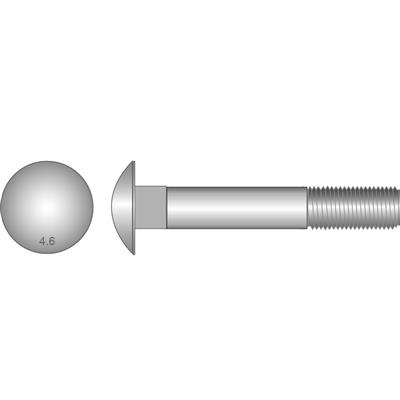 [100804] BOLT COACH  M10 x  50mm GALV (WITH NUT)