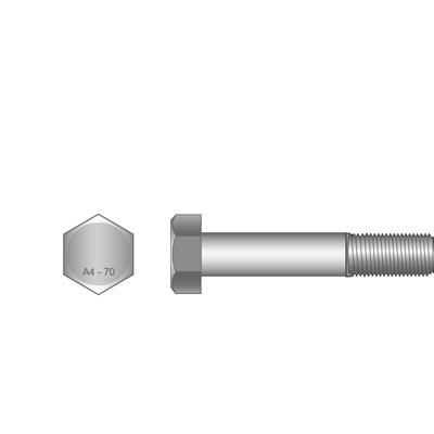 [P0012496] BOLT HEX M12 x 120mm STAINLESS